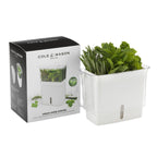 Cole & Mason Tealby Cut Herb Keeper