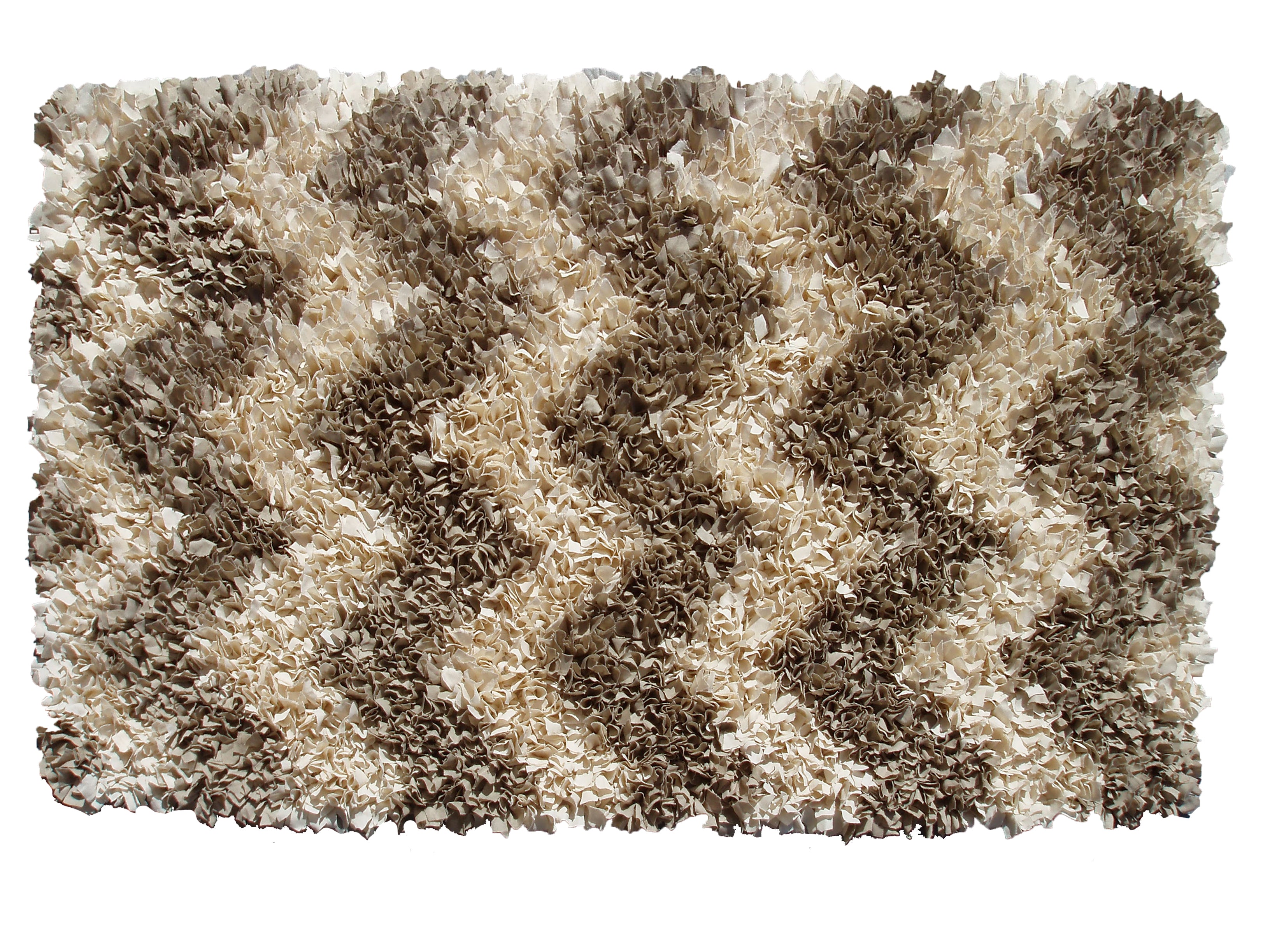Contemporary High-Pile Shag Area Rug in Neutral Ombre Colors